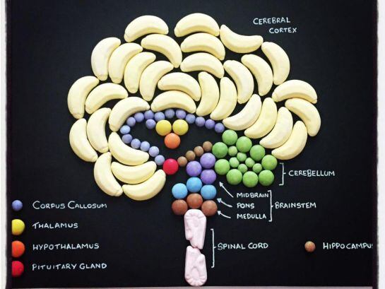 ACCEDE A NUESTRA FOTOGALERÍA.