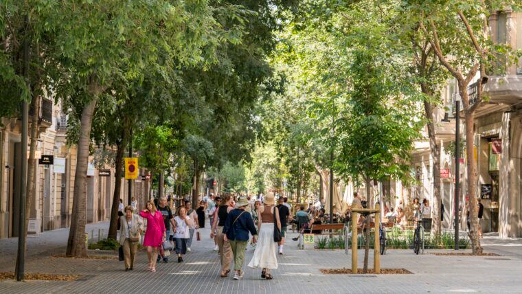 Imatge dels Eixos Verds de l&#039;Eixample