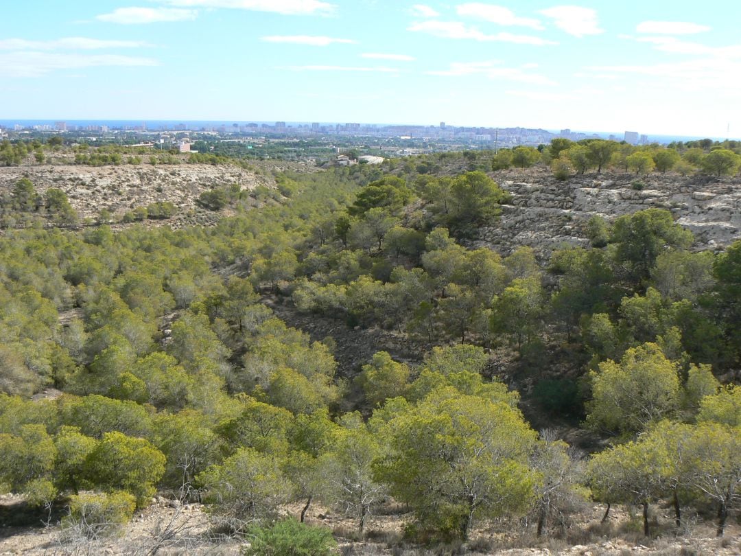 Imagen general de uno de los barrancos que forman el Monte Orgegia