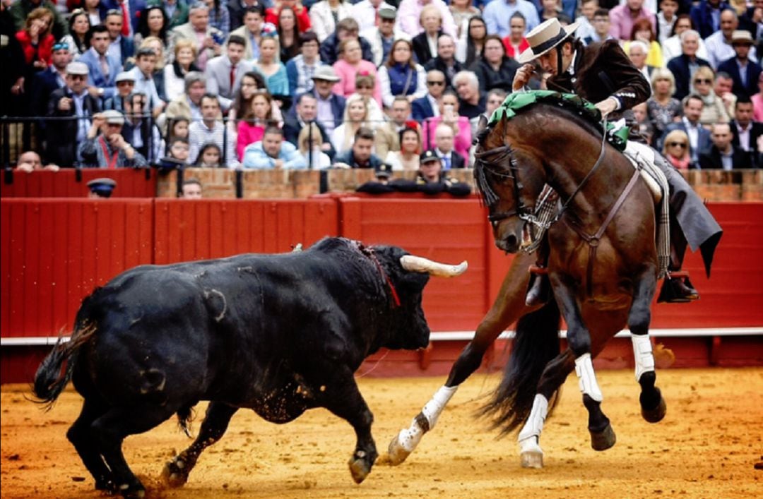 Tras su ausencia del pasado año, Diego Ventura regresa este Miércoles de Farollilos al ruedo de la Maestranza