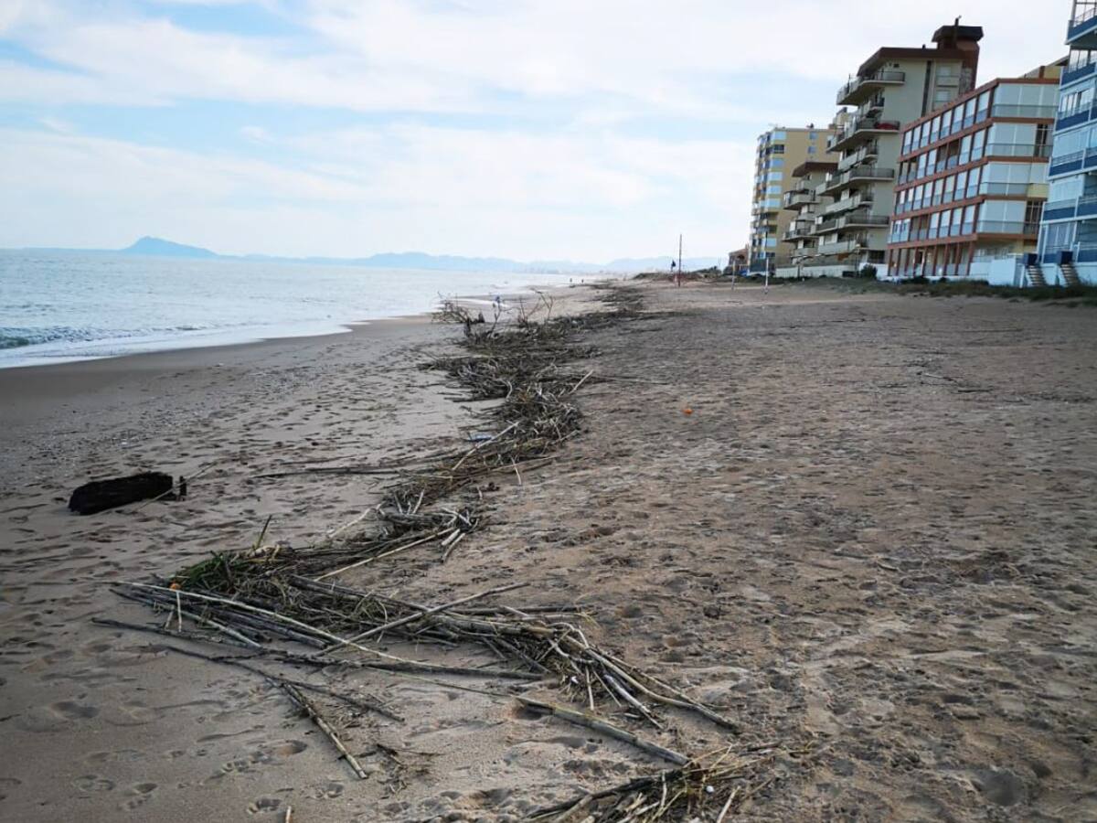 Tavernes limpia la playa de cañas y otros restos arrastrados por el último temporal