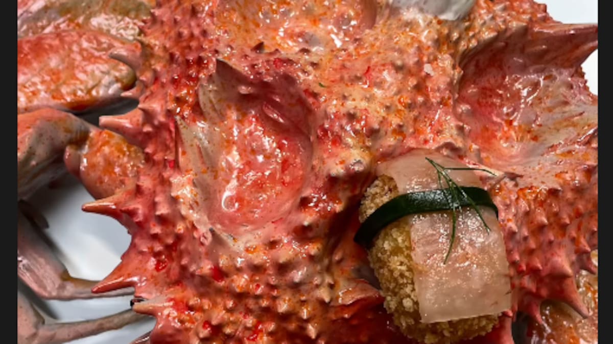 El bar La Ideal Mar de Pamplona, ganador de la Semana de la Croqueta de Navarra 2025