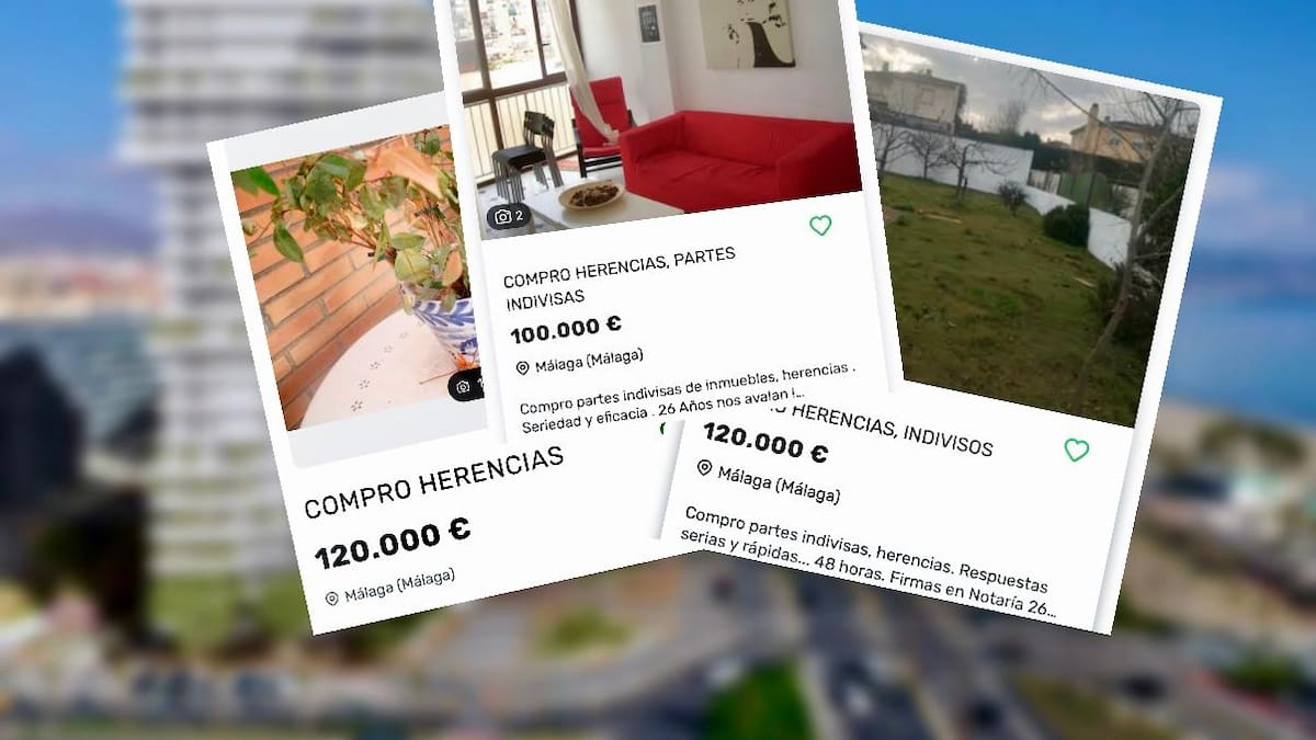 "La demanda es mayor" María Martos, Fotocasa