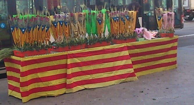 Roses amb l&#039;estelada a una parada de la Plaça Catalunya de Barcelona