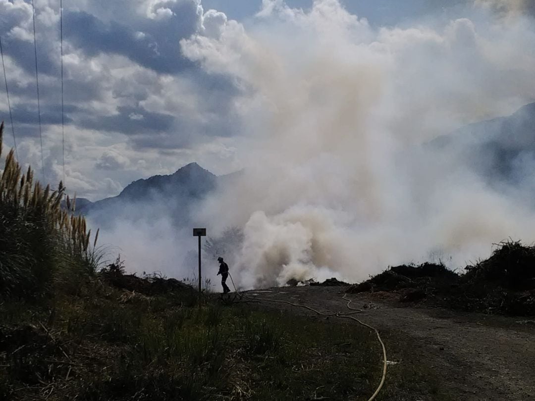 Incendio forestal en La Loma.