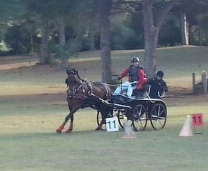 Concurso de enganches