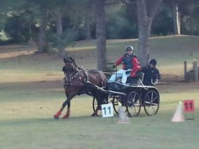 Concurso de enganches