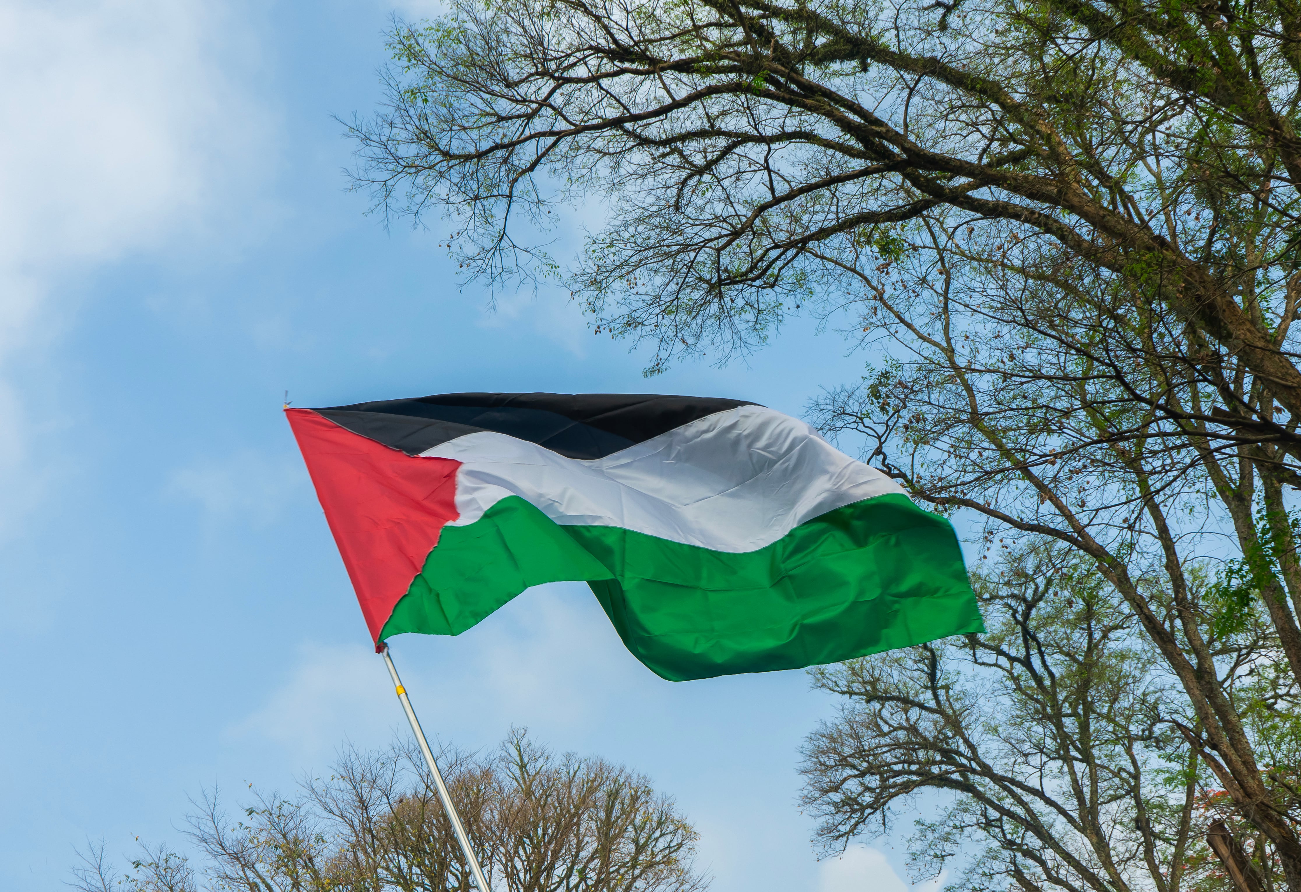 Bandera palestina