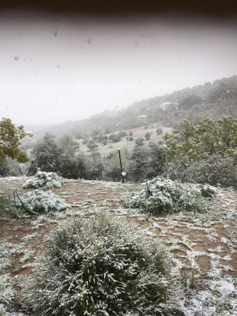 Imagen de la Sierra de Viso del Marqués con nieve este 5 de abril 2022