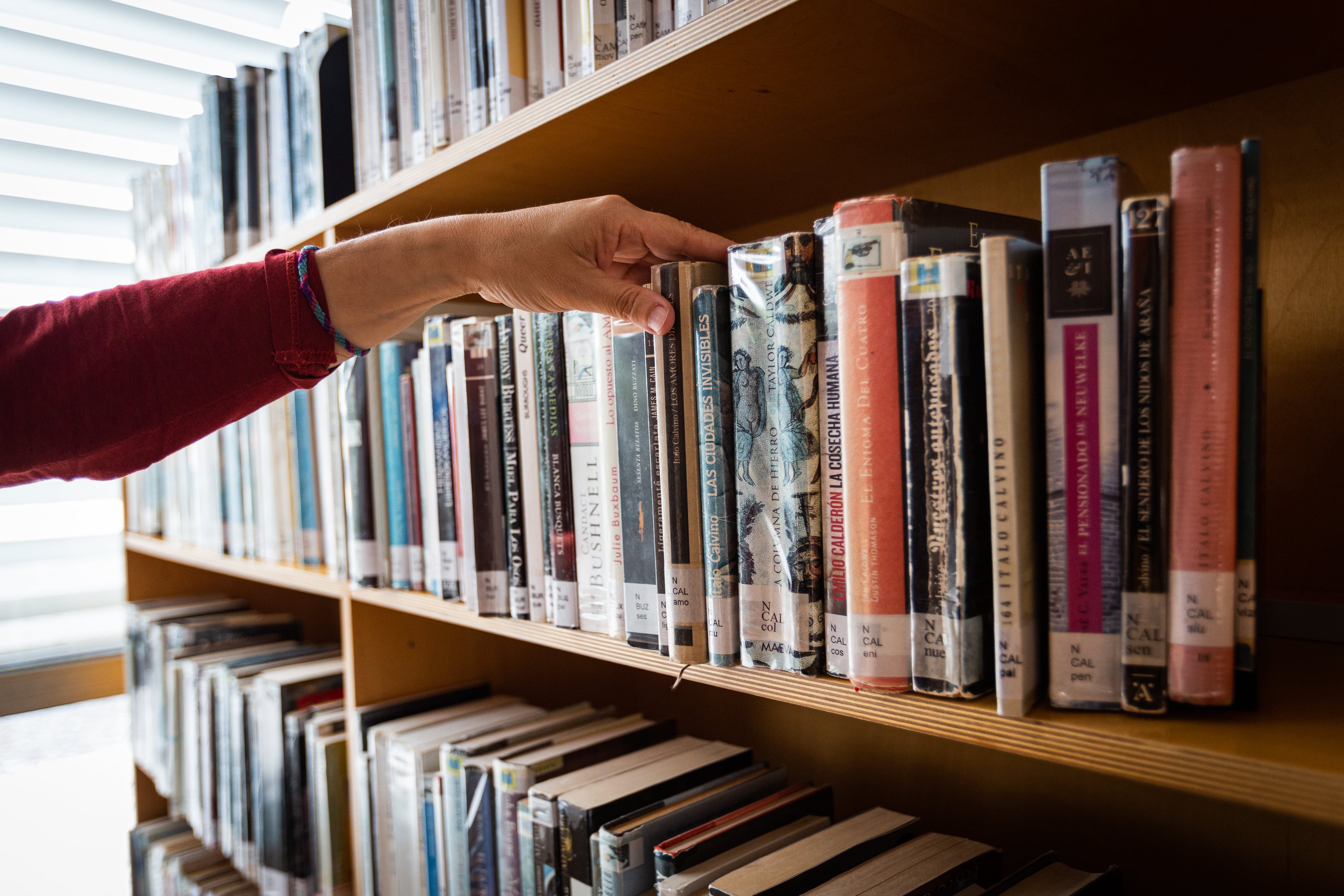 A librarian takes a book.Spain. (Photo by Iñaki Berasaluce/Europa Press via Getty Images)