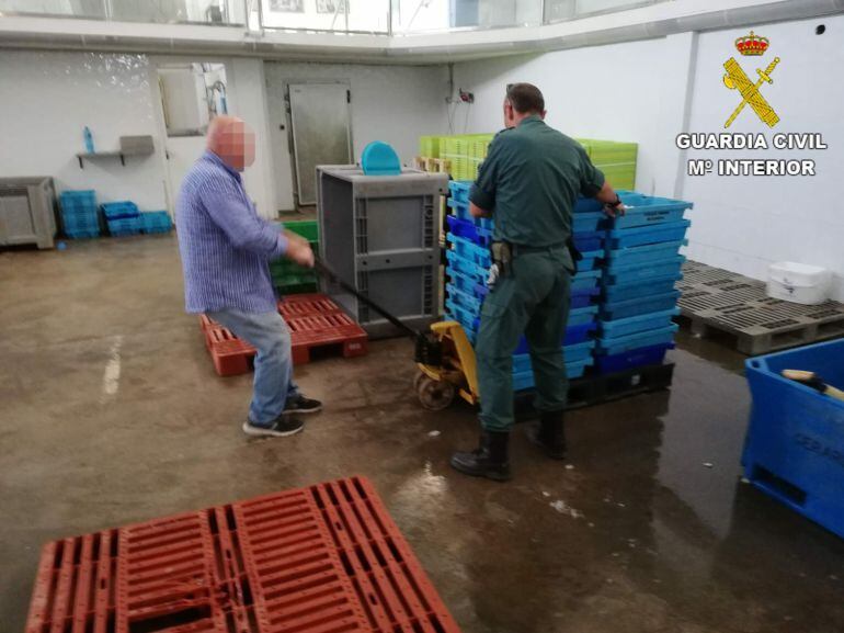 La Guardia Civil incauta más de una tonelada de pescado ilegal en Calp y Cox.