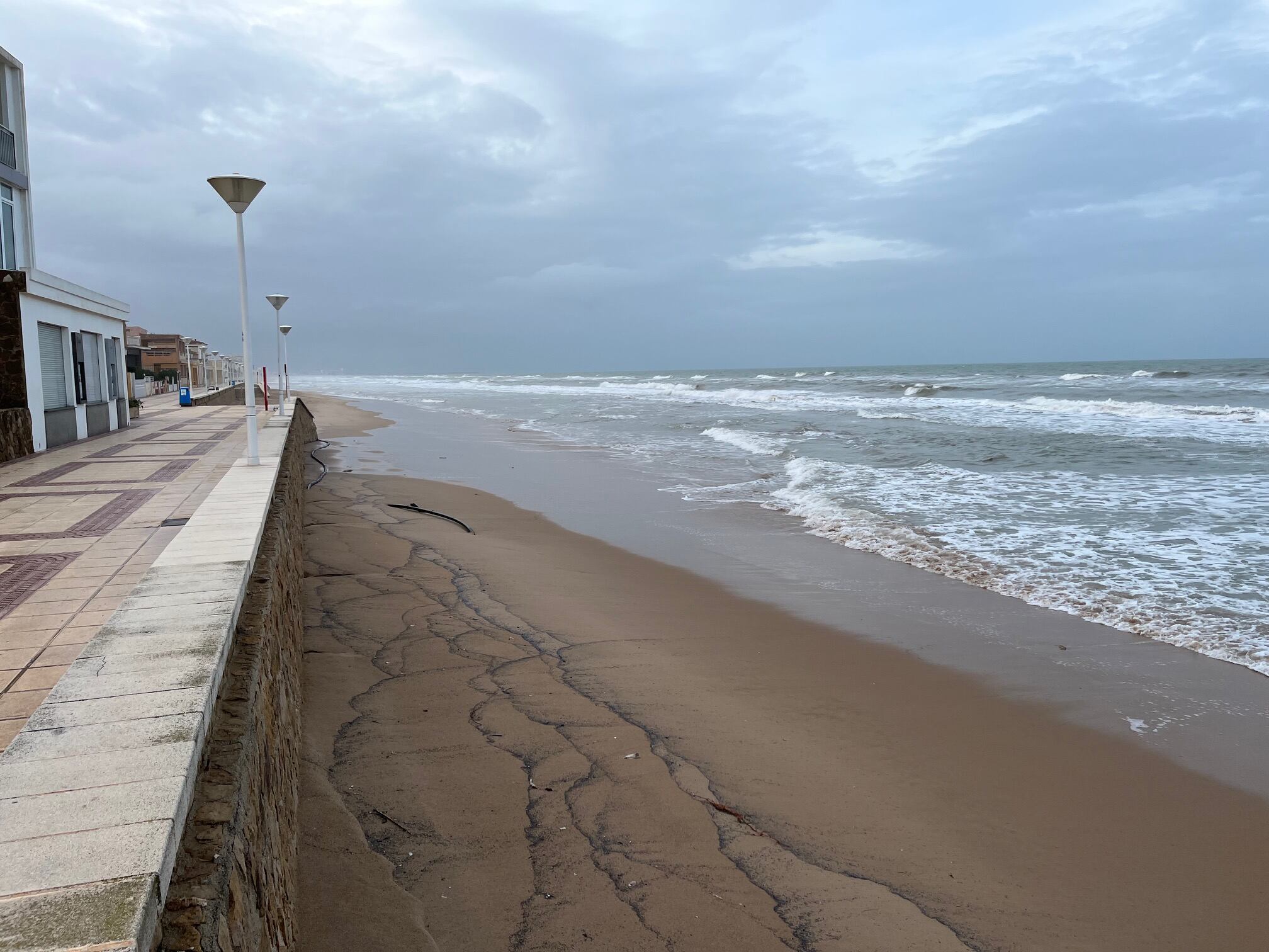 Varamiento masivo de medusas velero en la playa de Piles