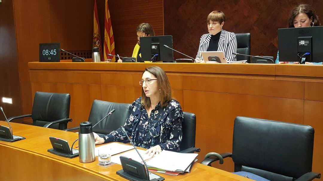 La directora general de Trabajo, Soledad de la Puente