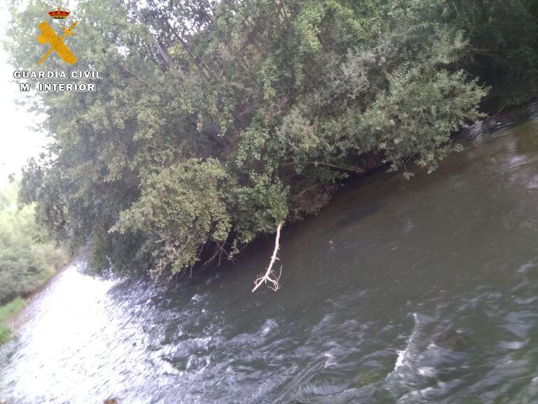 Lugar en el que se ha producido el rescate en Saldaña (Palencia)