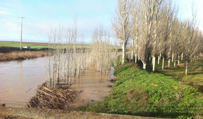 Imágenes de zonas anegadas en Tierra de Campos