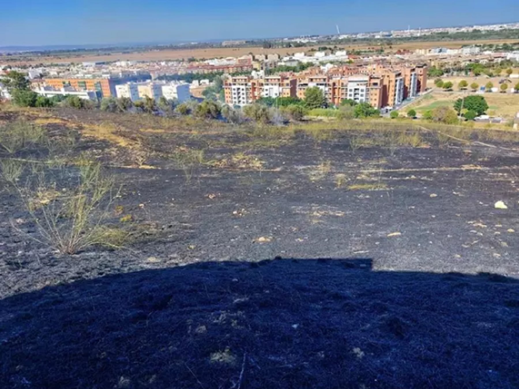 Incendio en el Cerro del Carambolo/ Europa Press