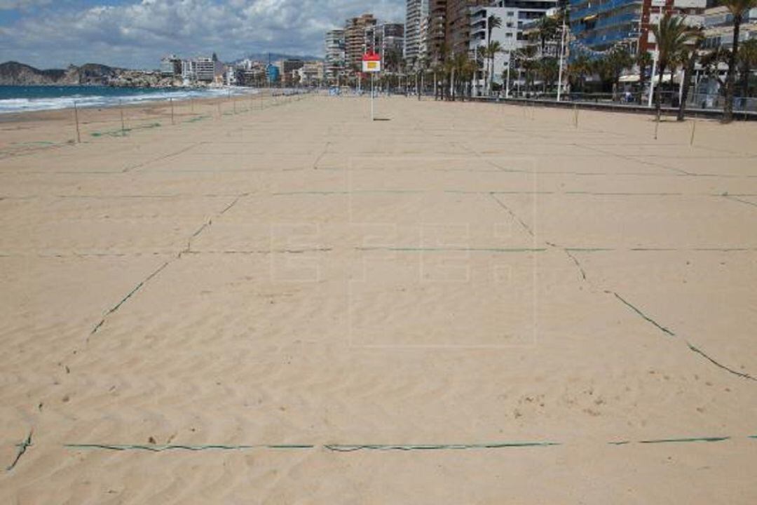 Playa de Benidorm parcelada para guardar la distancia de seguridad (archivo)