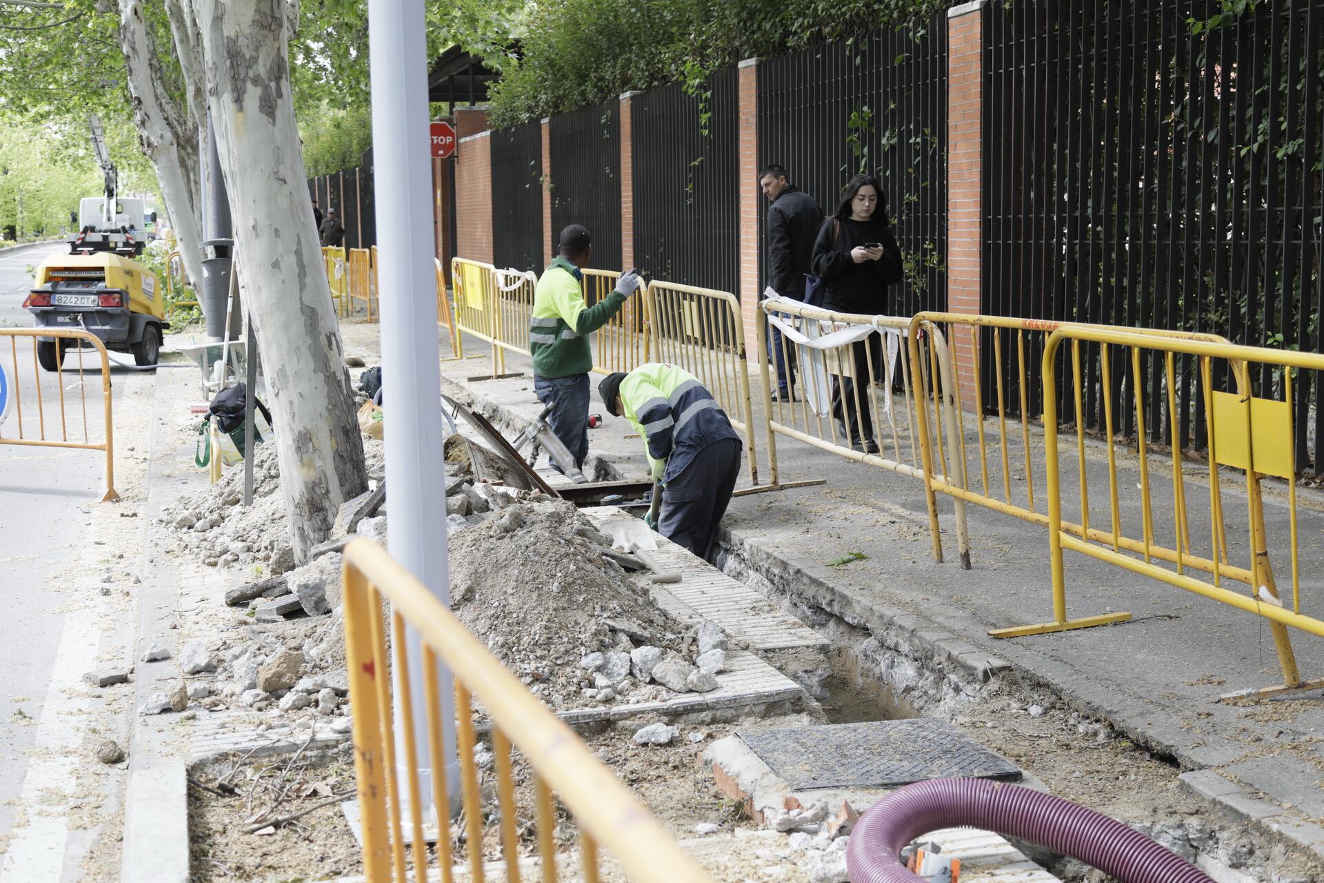 Los trabajos se van a desarrollar durante cinco meses