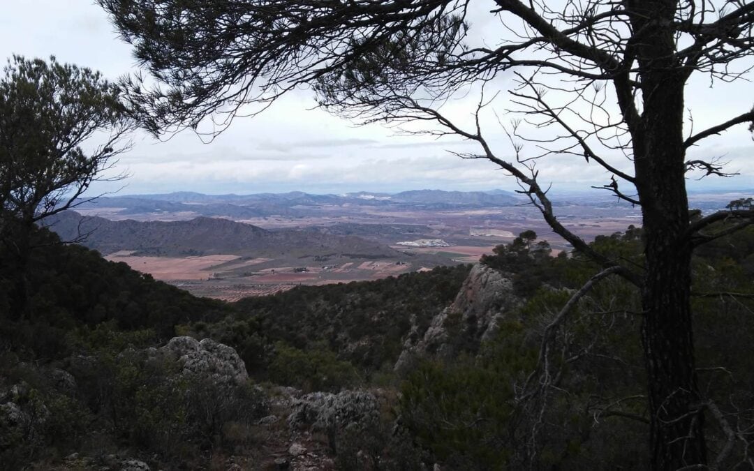 Paisaje del término de Villena