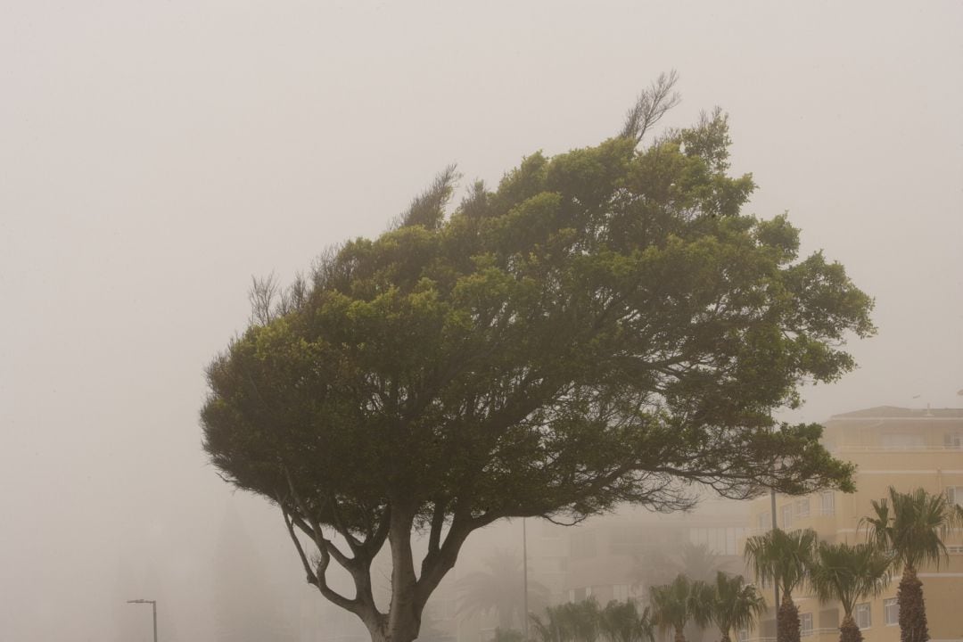 Meteorología activa el aviso amarillo por vientos en el Valle del Guadalentín.