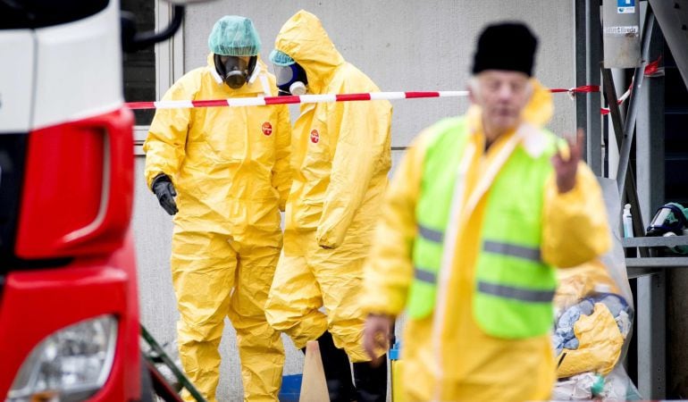 Empleados de la Sanidad con máscaras protectivas están evacuando una granja de patos tras detectarles la gripe aviar en Biddinghuizen, Holanda.