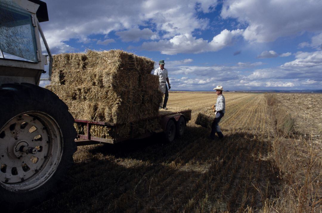 29 Juntas Agropecuarias Locales de la provincia se reparten cerca de 80.000 euros que la Diputación de Palencia destina para cumplir con el apoyo a las necesidades y demandas del colectivo en la provincia