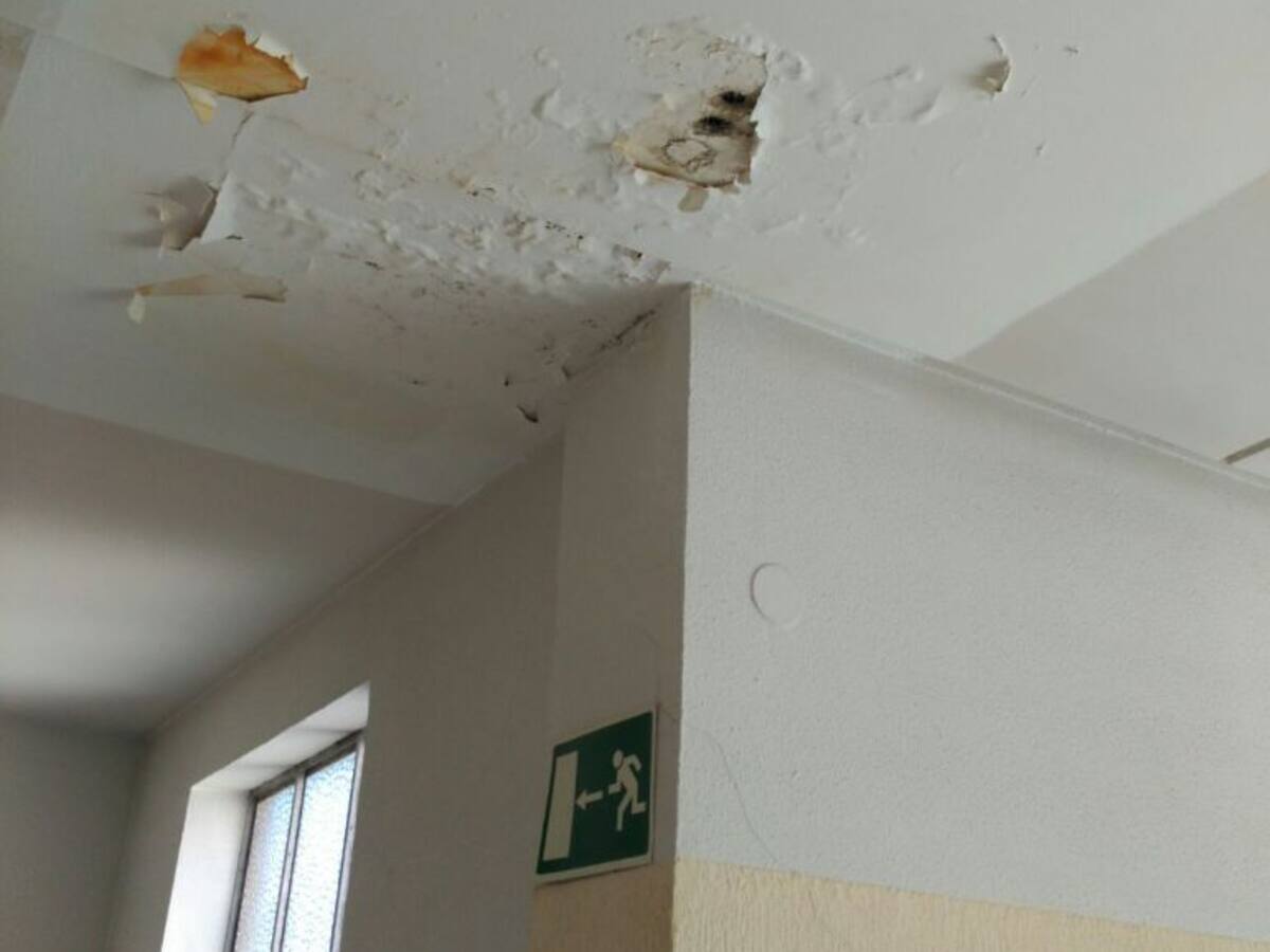 Música entre goteras