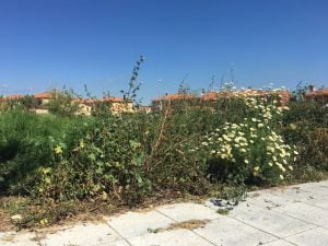 Este es el estado de los aledaños de la Urbanización Las Pilas.