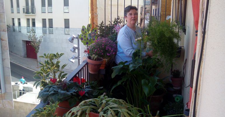 Un dels balcons florits de la plaça l'Ereta de Lleida que participa al concurs de balcons, façanes i aparadors del Centre Històric.