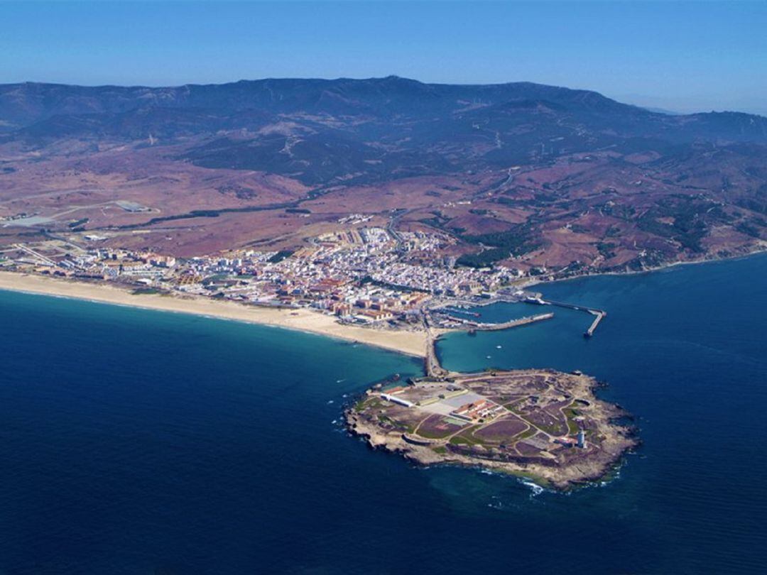 Parte del litoral de Tarifa está afectado por la presencia de la alga invasora.