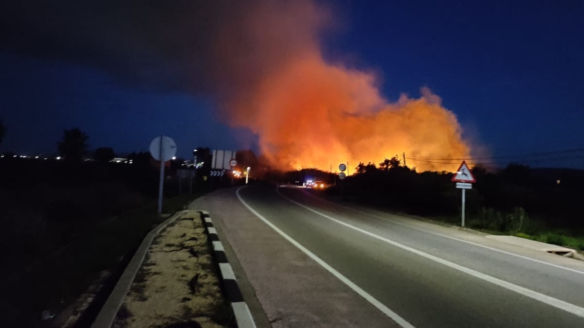 Un incendio obliga a cortar la CV-670 entre Guardamar y Daimús en plena campaña turística de Semana Santa