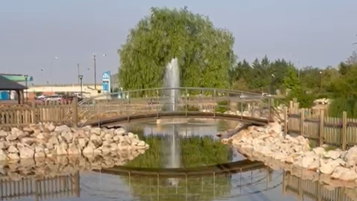 El Ayuntamiento de Soria mejora la zona de estancia de la Tejera con obras en el Lago y la reposición de la zona del cenador de madera