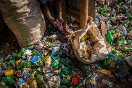 Miles de botellas de plástico se acumulan en un almacén de la ciudad ugandesa de Kampala. 