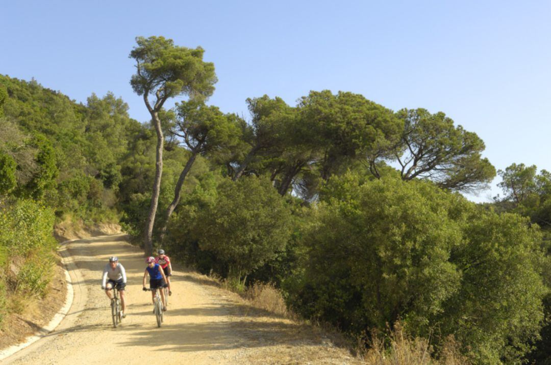 Itinerari en bici pel Passeig de les Aigües. Arxiu del Consorci del Parc Natural de Collserola