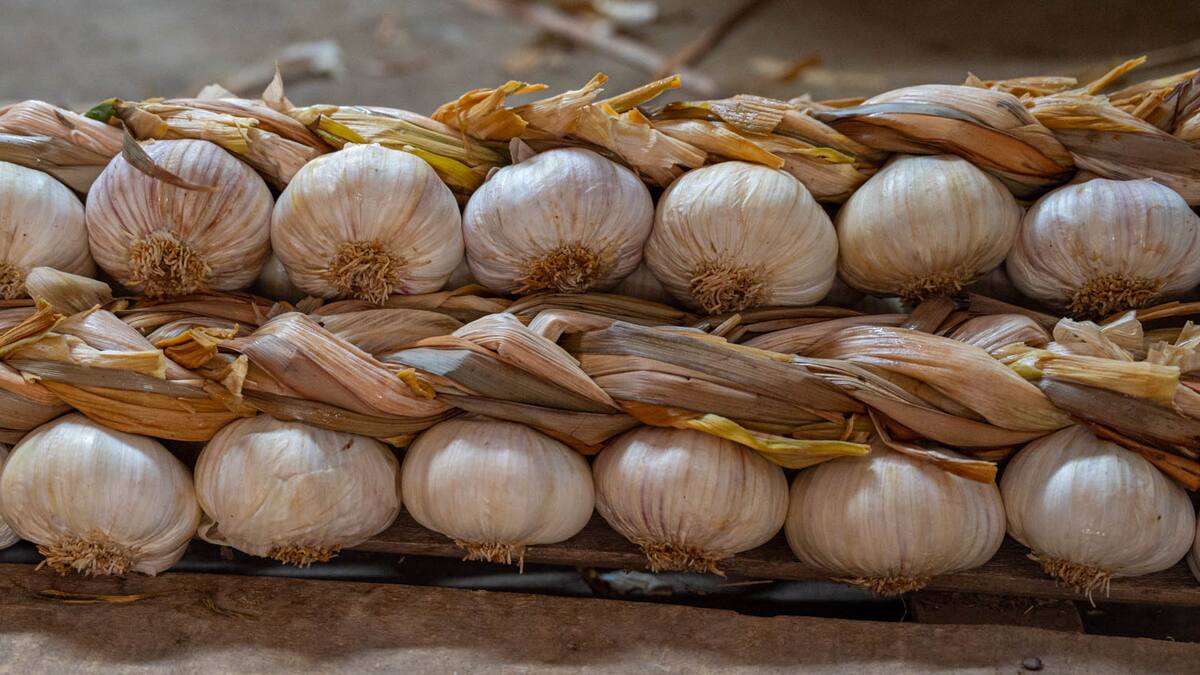 Artesanía con ajos de Cuenca: de inventar las ristras a los ramos de novia
