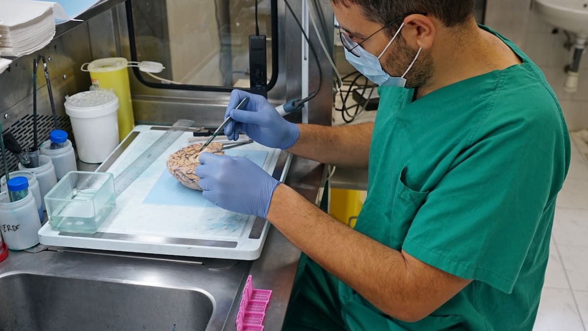 Entrevista Neuropatólogo Banco de Cerebros, Héctor Rodrigo