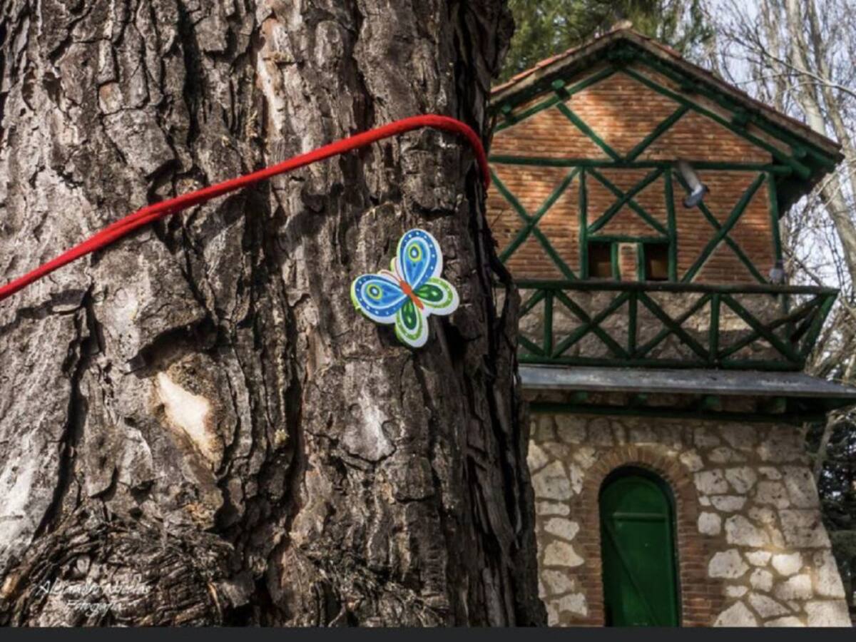 El juez da la razón a quienes se oponían a la tala de 73 árboles en Jardinillos