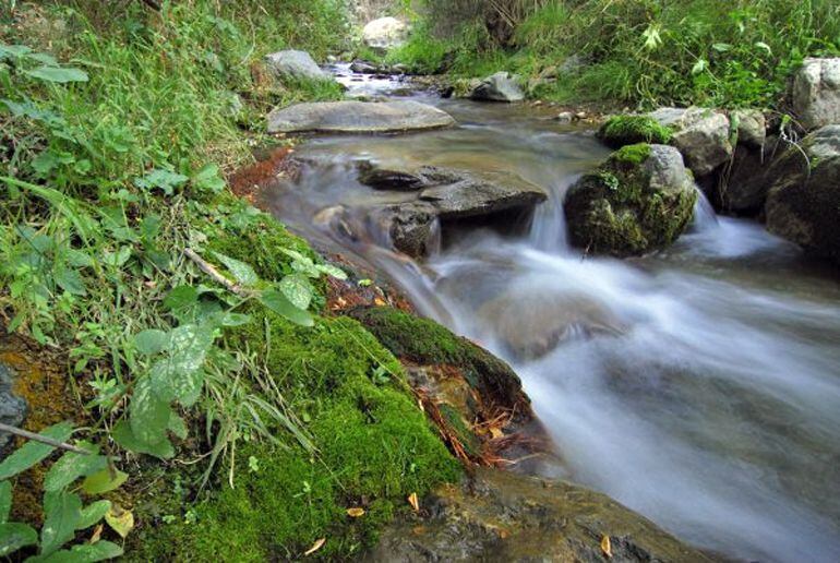 Curso medio del río Monachil (Granada)