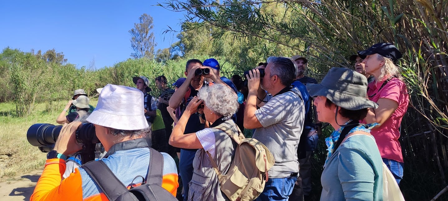 Birding Málaga