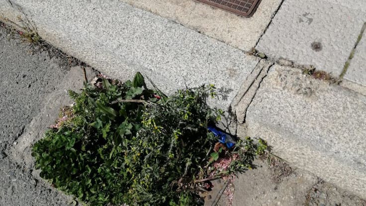 El alcalde de Ávila responde abril 2021