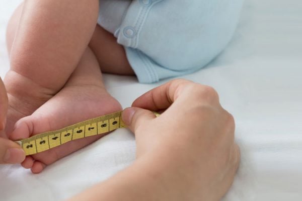 València reúne a más de mil pediatras en e 38º congreso nacional de SEPEAP.