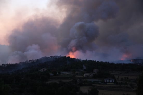 El foc ha cremat 360 hectàrees de massa forestal i conreus