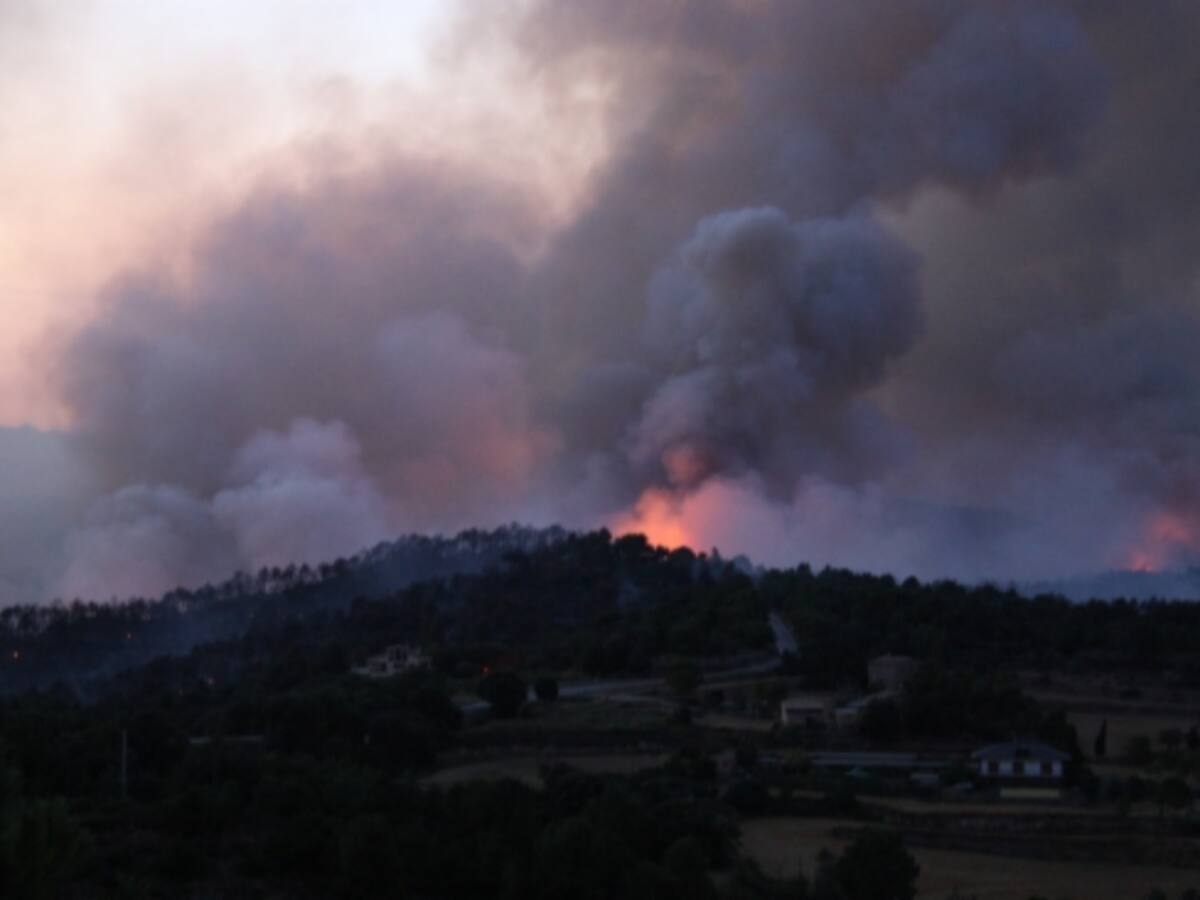 El pla de prevenció d'incendis de l'Albera, 2007-2013, està paralitzat