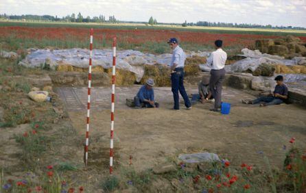 Trabajos de recuperación en La Olmeda