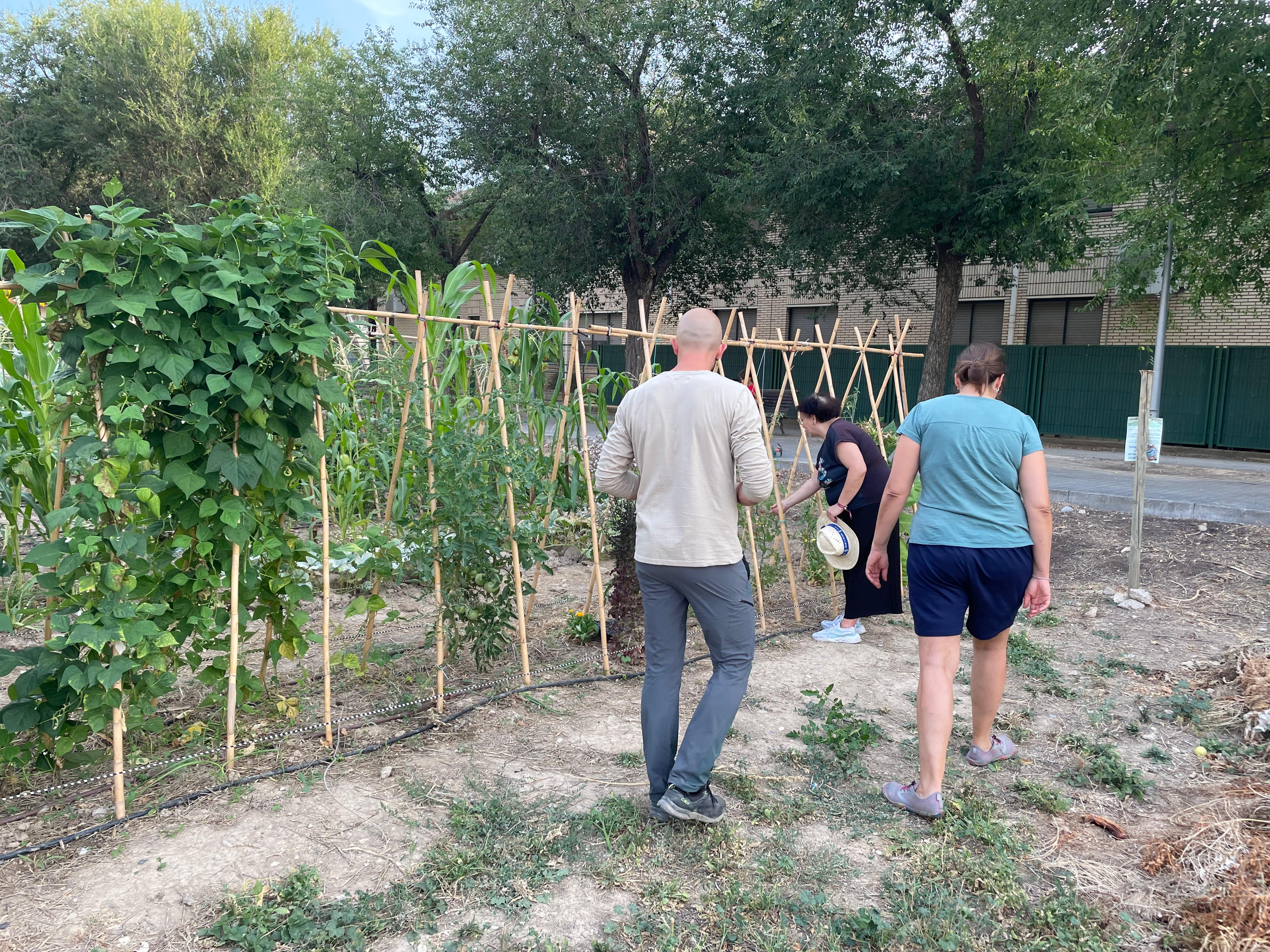 Voluntarios en el huerto de el Molino.