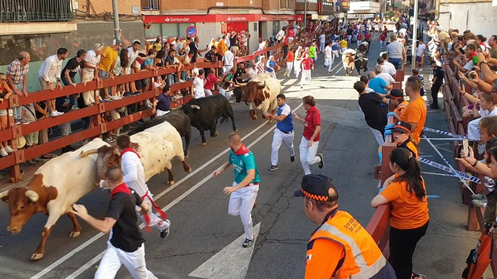 Quinto encierro de las Fiestas de San Sebastián de los Reyes