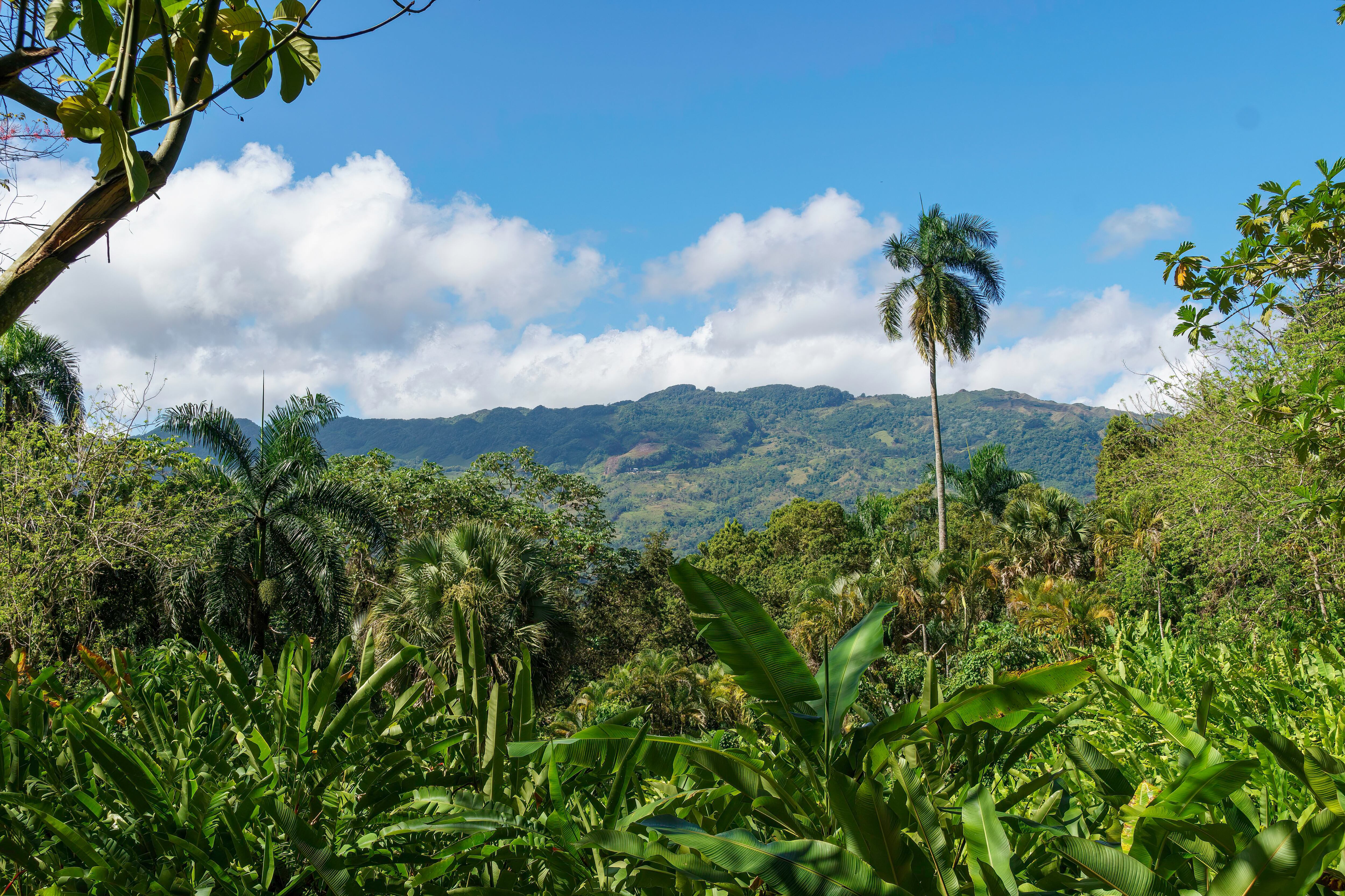 Imagen de archivo de una montaña en República Dominicana