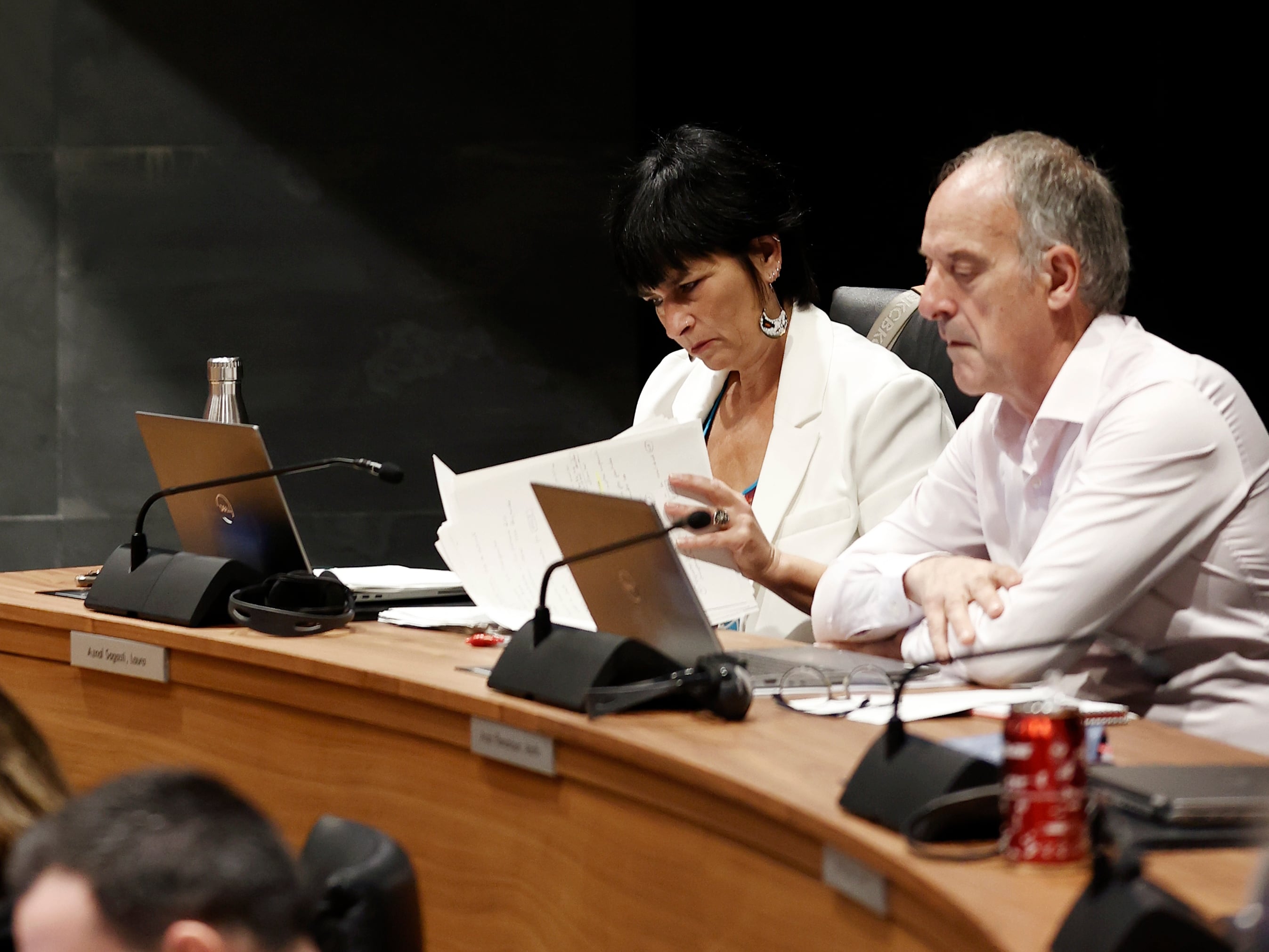 Los parlamentarios de EH Bildu, Laura Aznal y Adolfo Araiz, en el pleno del Parlamento de Navarra. EFE/ Jesús Diges