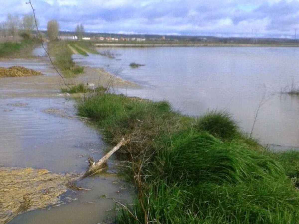Alcaldes y sindicatos vuelven a cargar contra la CHD y le exigen que asuma los daños causados por las riadas