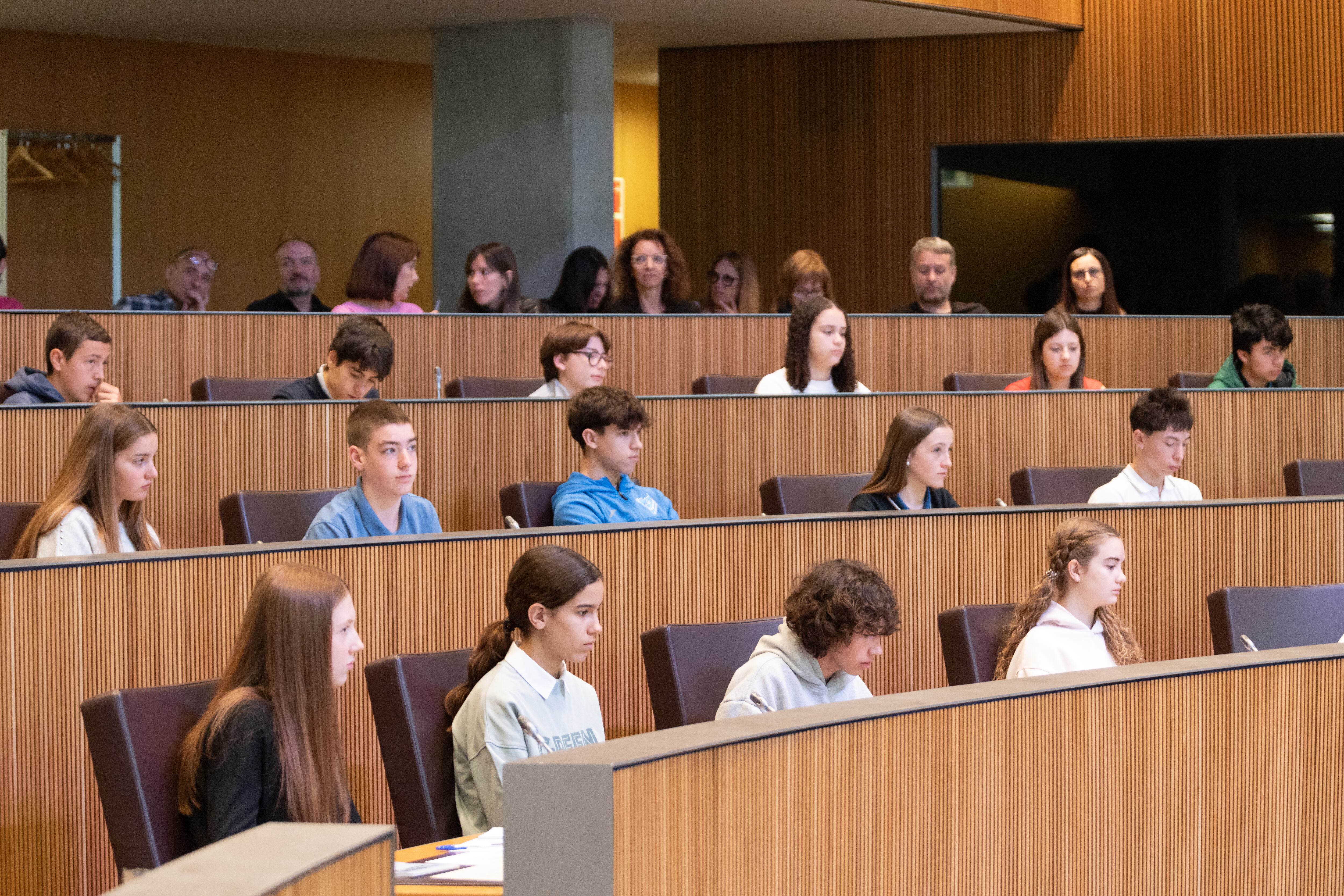 En la 23a sessió del Consell General de Joves, s&#039;ha aprovat també la proposició de llei per a la regulació estètica de les  edificacions